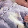 Bunny_20255_20x_20340_0