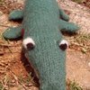 Ally_gator