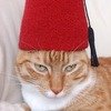 Fez2